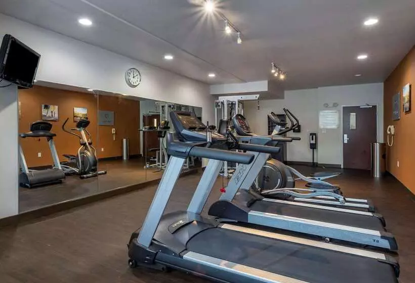 酒店 Comfort Suites Natchitoches