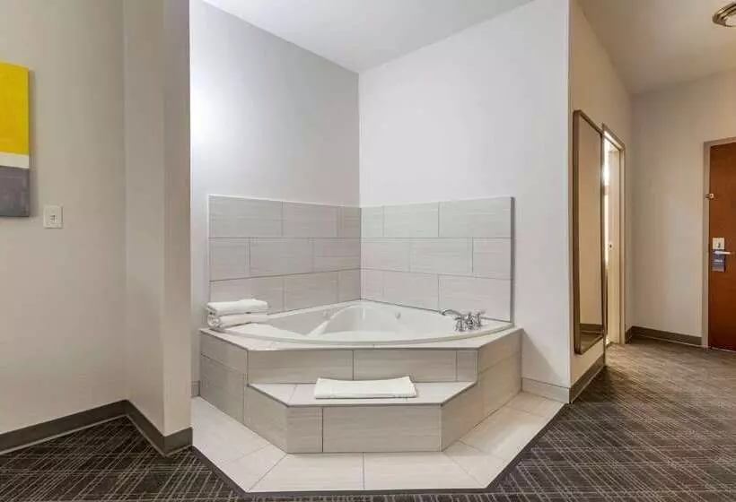 酒店 Comfort Suites Natchitoches