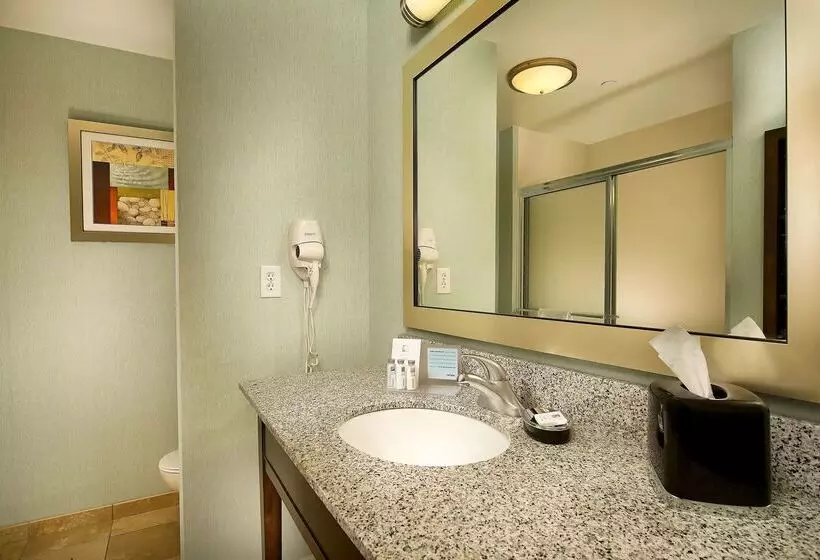 ホテル Hampton Inn Pampa
