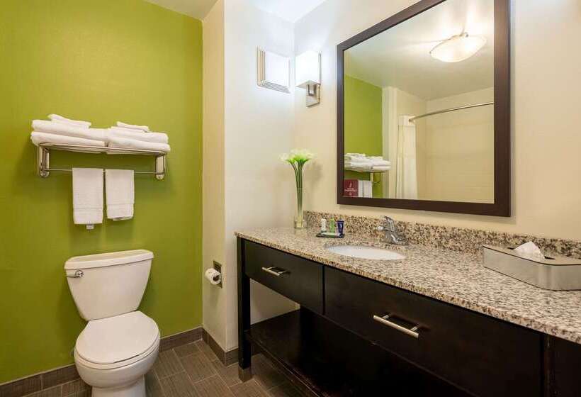 ホテル Sleep Inn & Suites Harbour Pointe