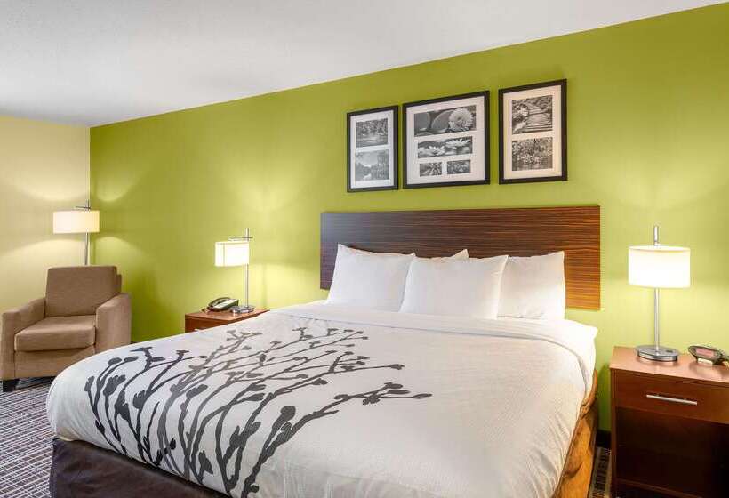 ホテル Sleep Inn & Suites Harbour Pointe