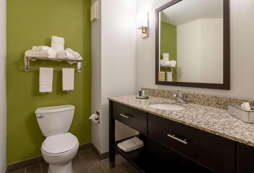 ホテル Sleep Inn & Suites Harbour Pointe