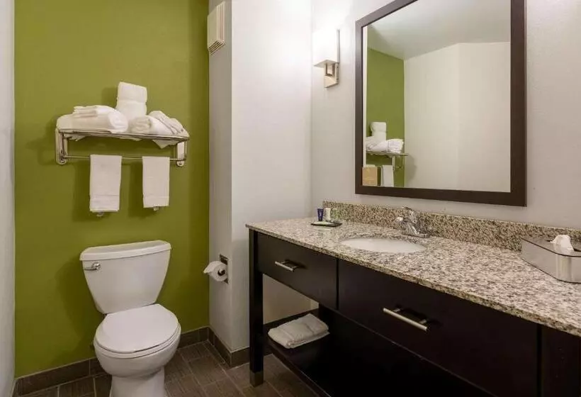 בית מלון כפרי Sleep Inn & Suites Harbour Pointe