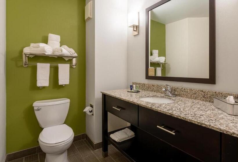 ホテル Sleep Inn & Suites Harbour Pointe