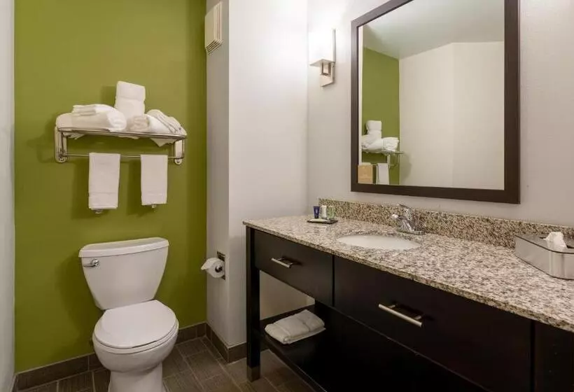 בית מלון כפרי Sleep Inn & Suites Harbour Pointe