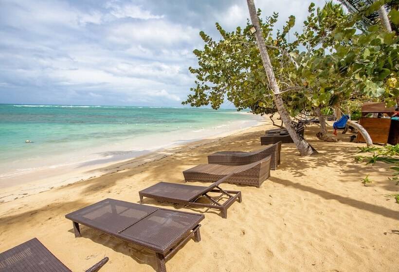 هتل Xeliter Balcones Del Atlantico Las Terrenas