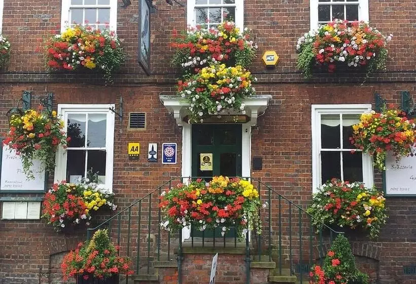 住宿加早餐 Falcon Inn