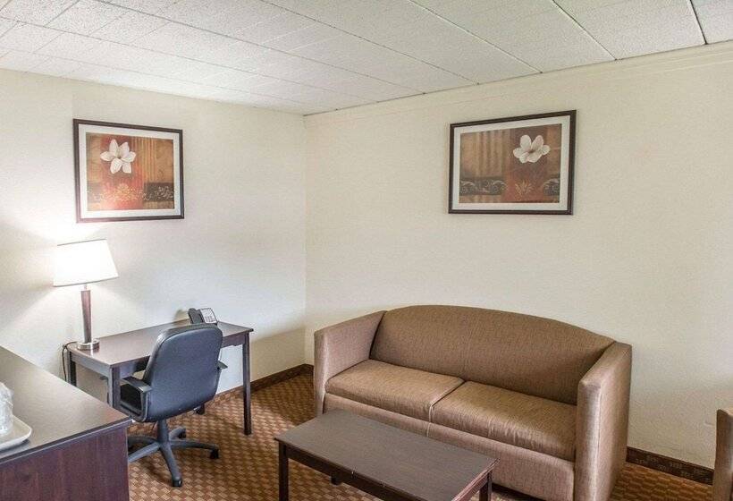 Отель Econo Lodge Inn & Suites Shamokin Dam   Selinsgrove