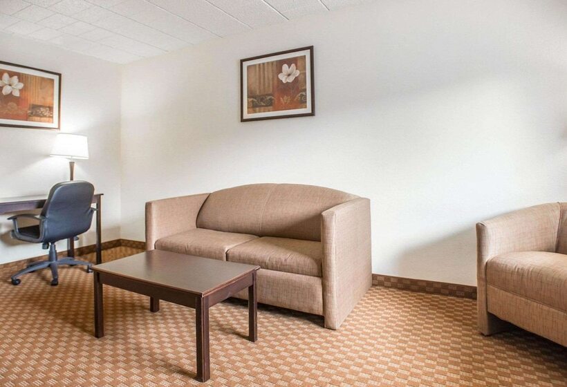 Отель Econo Lodge Inn & Suites Shamokin Dam   Selinsgrove