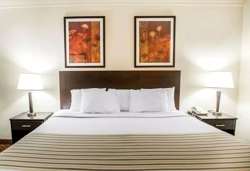 酒店 Econo Lodge Inn & Suites Shamokin Dam Selinsgrove