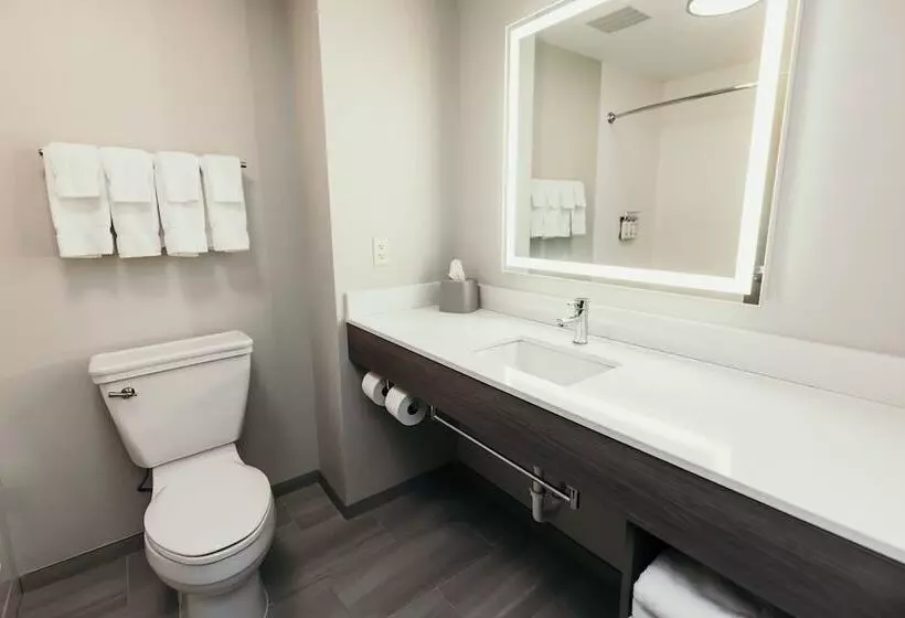 ホテル Holiday Inn Express And Suites Urbandale Des Moines, An Ihg
