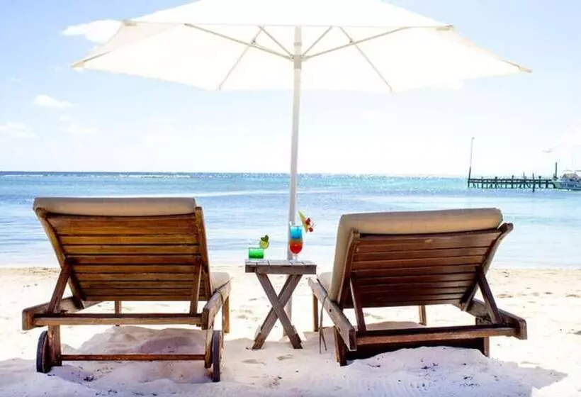 ホテル Quinto Sole By Guru