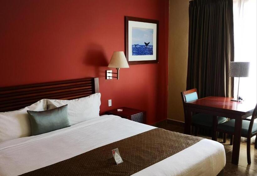 ホテル Seven Crown La Paz Centro Historico