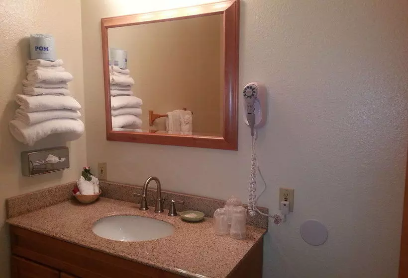 فندق Innsbruck Lodge