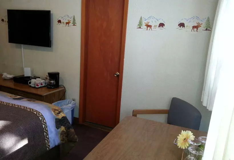 فندق Innsbruck Lodge