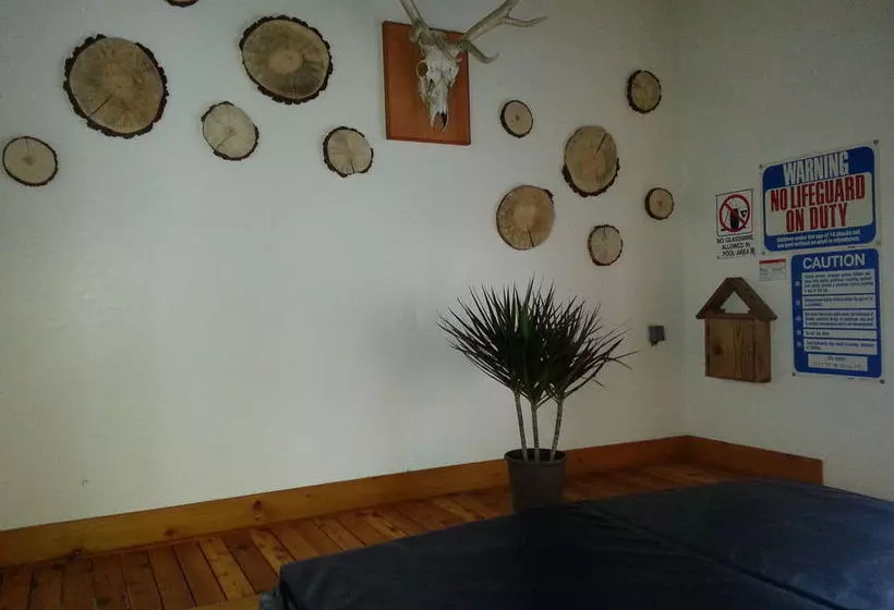 فندق Innsbruck Lodge