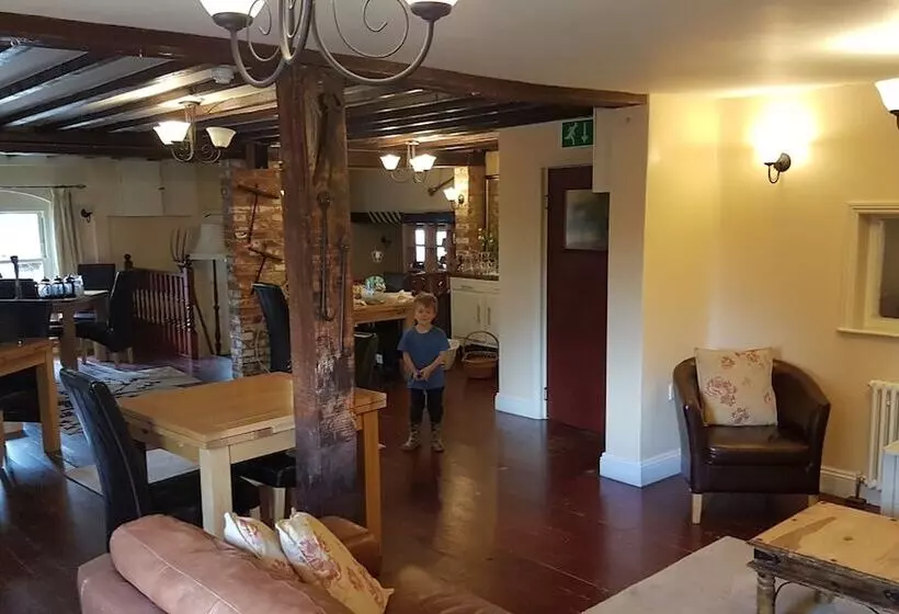 酒店 The Pelican Guesthouse