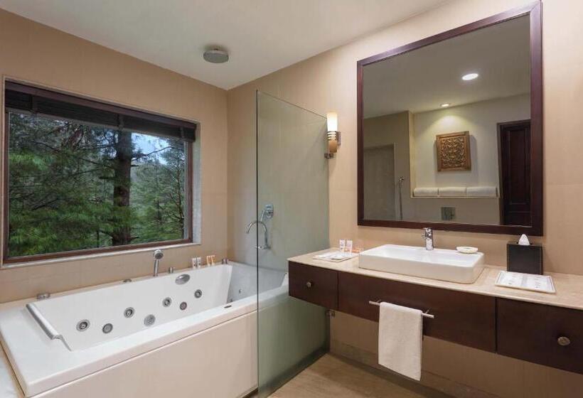 渡假胜地  Welcomhotel By Itc Hotels, Pine N Peak, Pahalgam