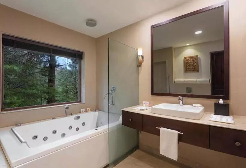 リゾートホテル Welcomhotel By Itc Hotels, Pine N Peak, Pahalgam