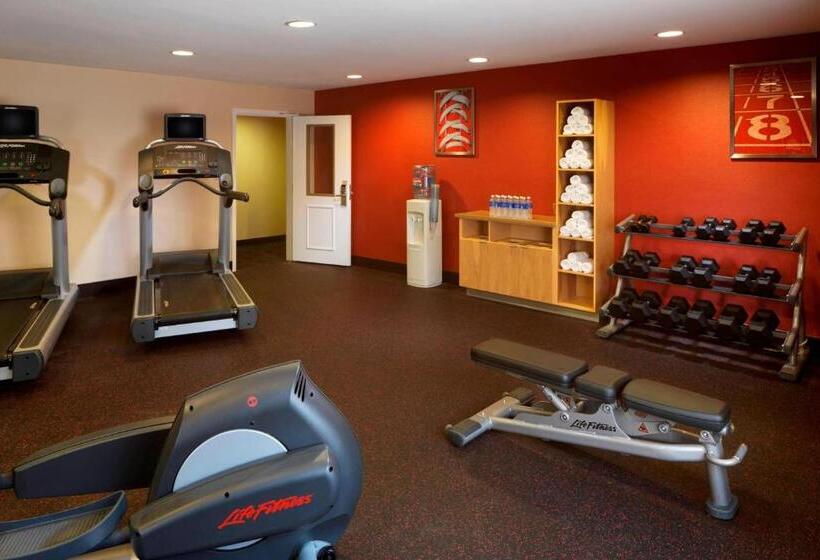 Towneplace Suites Houston North/shenandoah