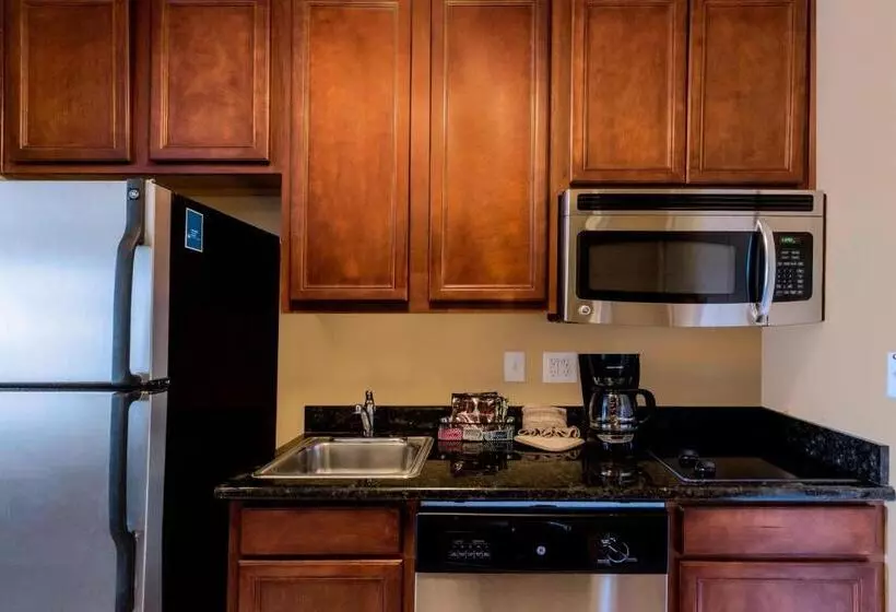 Towneplace Suites Houston North/shenandoah