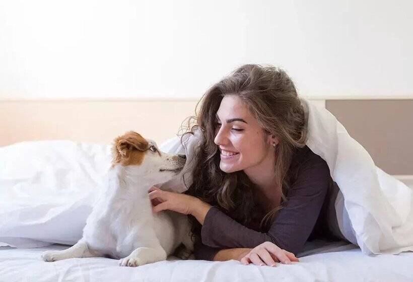 Apartamentos Pie de Pistas Pas de la Casa Mikka 3000