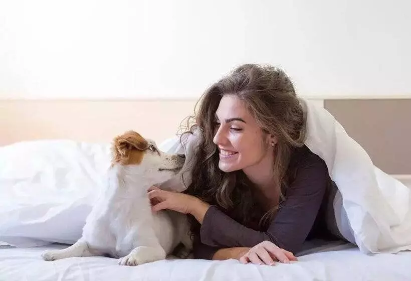 Apartamentos Pie de Pistas Pas de la Casa Mikka 3000