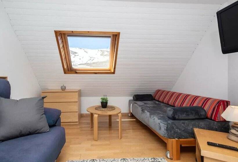 Apartamentos Pie de Pistas Pas de la Casa Mikka 3000