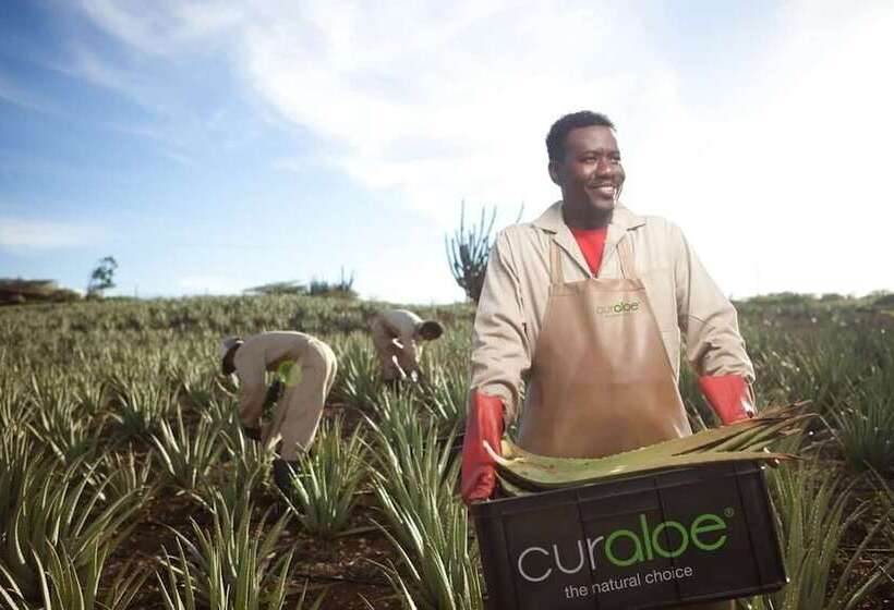 Baoase Luxury Resort