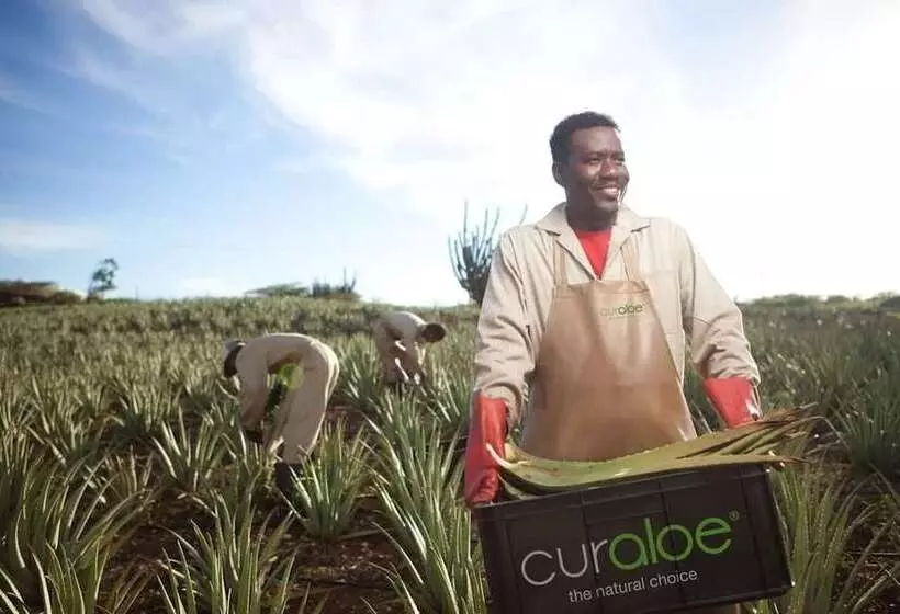 Baoase Luxury Resort