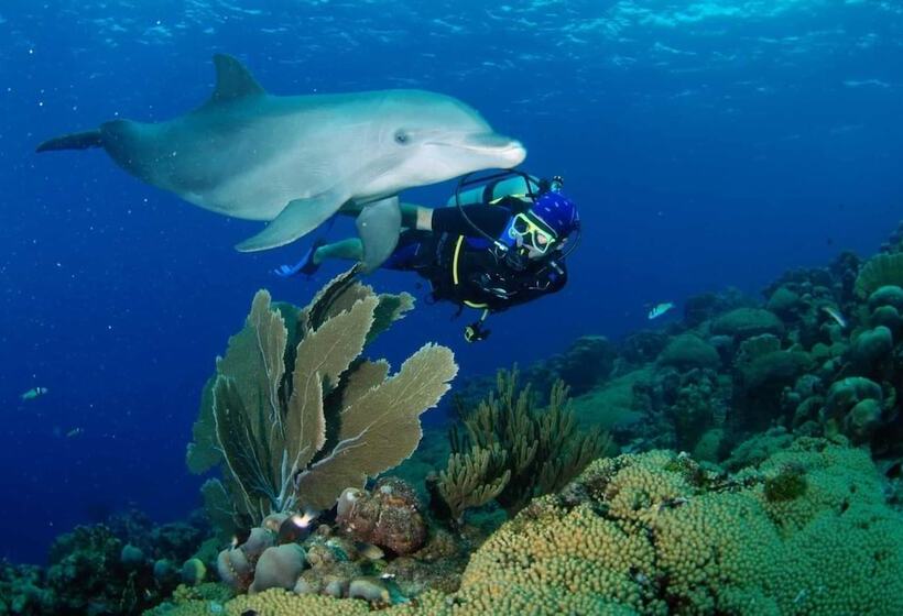 Baoase Luxury Resort