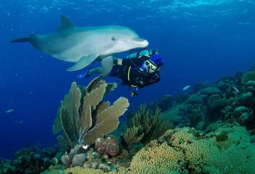 Baoase Luxury Resort