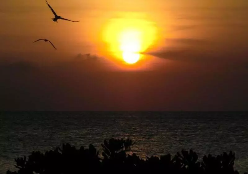 Baoase Luxury Resort