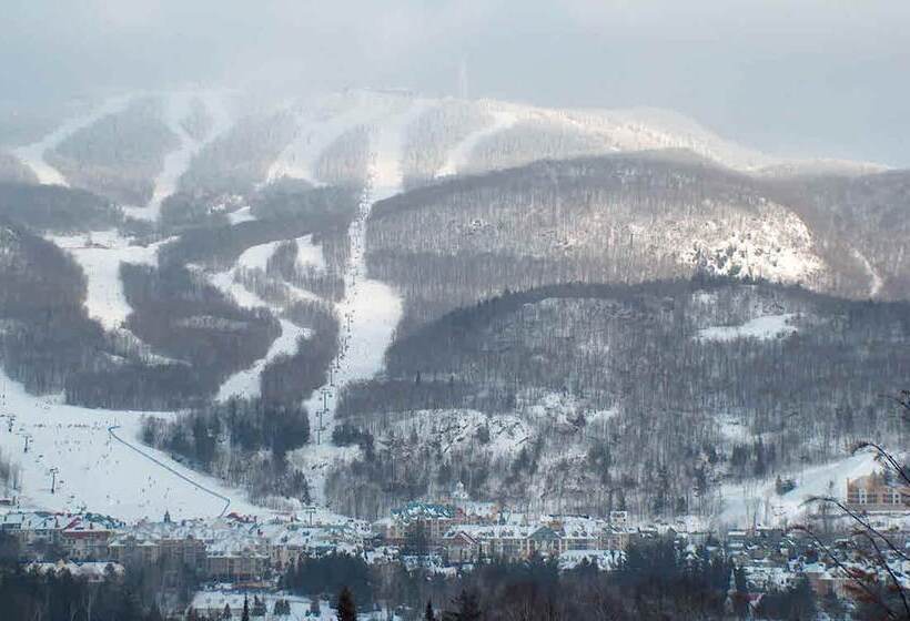 צימר Leqube Nord