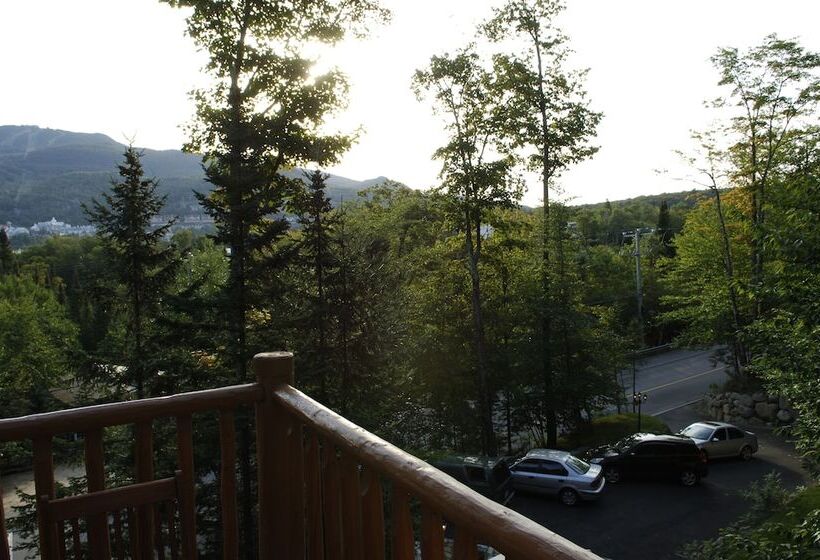 צימר Leqube Nord