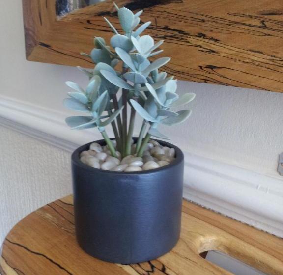 Nocleg ze śniadaniem Phoenix Guest House