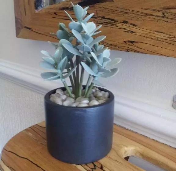 민박 Phoenix Guest House