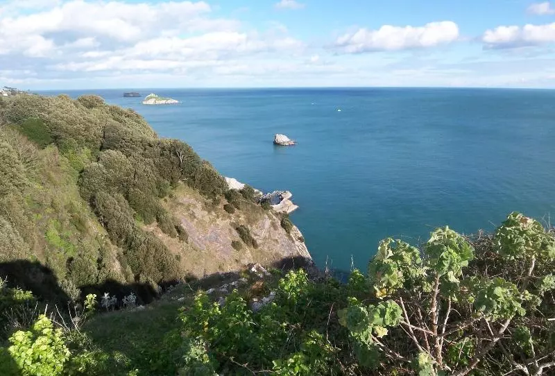 Bed and Breakfast The Baytree