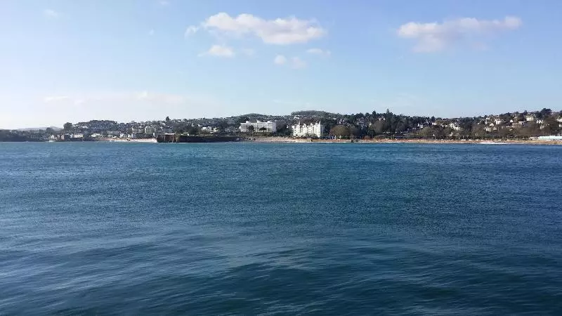 Bed and Breakfast The Baytree