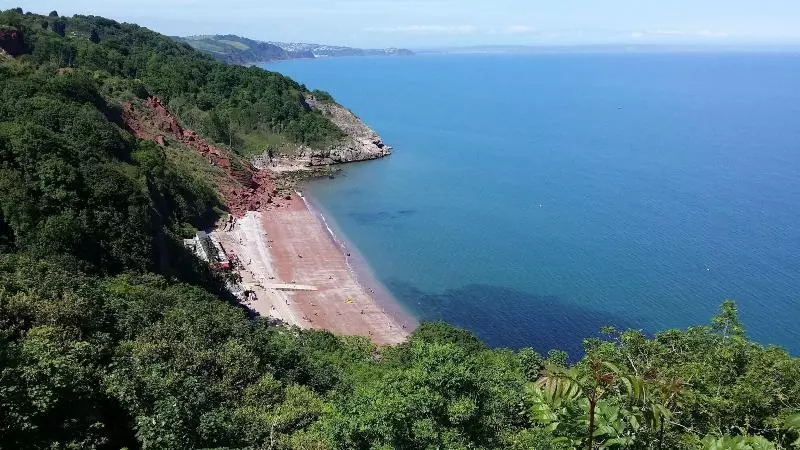 Bed and Breakfast The Baytree