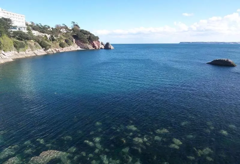 Bed and Breakfast The Baytree