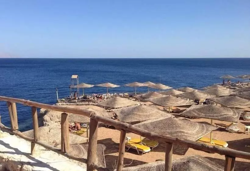 Carlton Deluxe Residences & Apartments