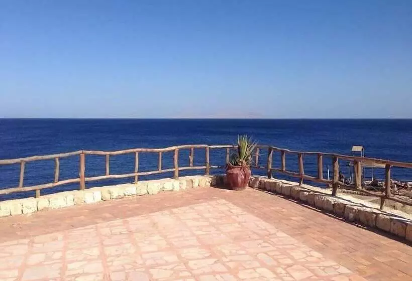 Carlton Deluxe Residences & Apartments