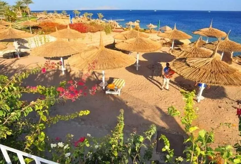 Carlton Deluxe Residences & Apartments