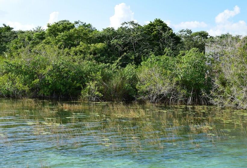 Eco Hotel Casa Corazón Bacalar