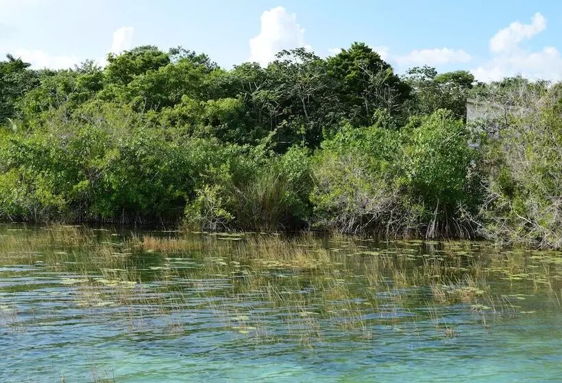 Eco Hotel Casa Corazón Bacalar
