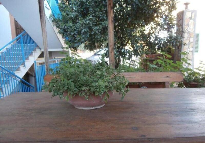 酒店 Busalacchi B&b