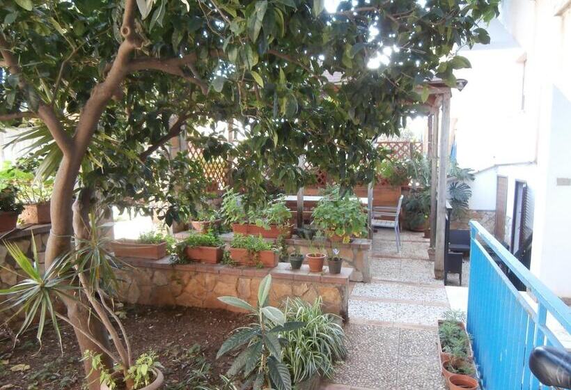 酒店 Busalacchi B&b