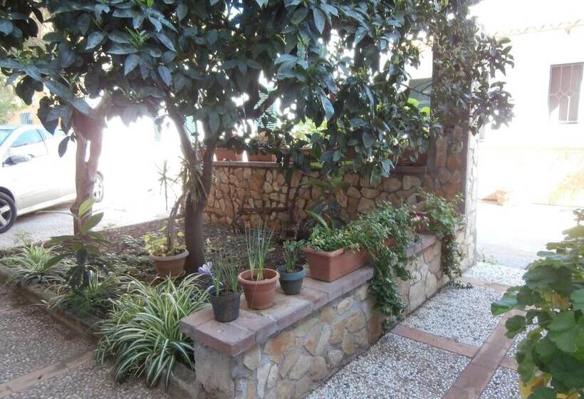 酒店 Busalacchi B&b