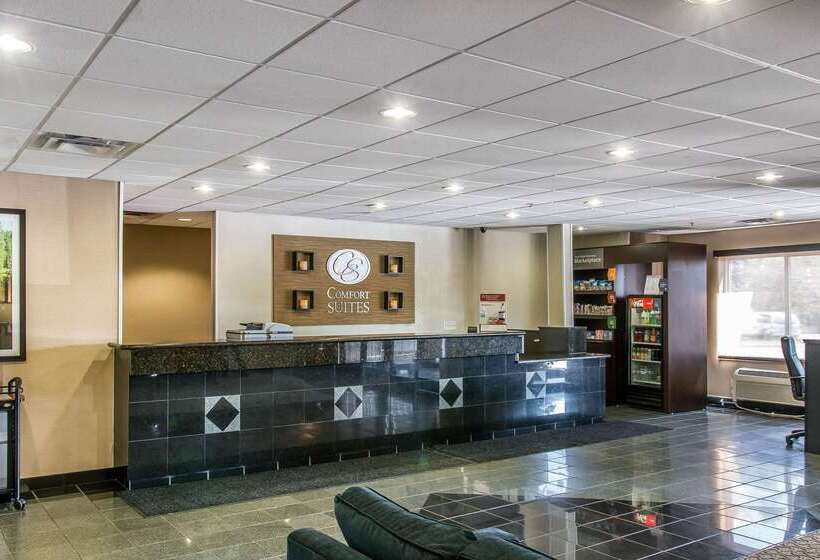 فندق Comfort Suites